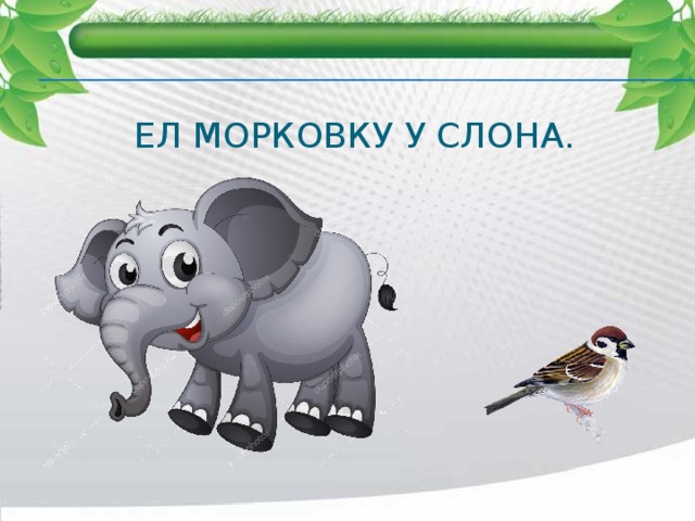 Ел морковку у слона. 
