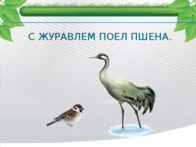С журавлем поел пшена. 