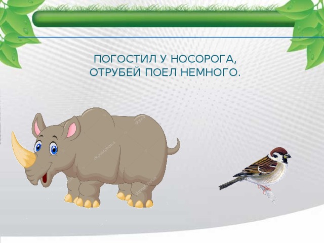 Погостил у носорога,  Отрубей поел немного. 