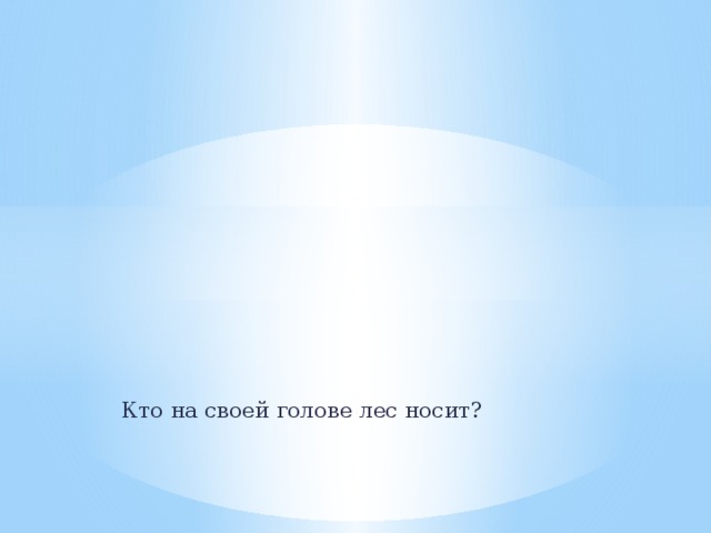 Кто на своей голове лес носит? 