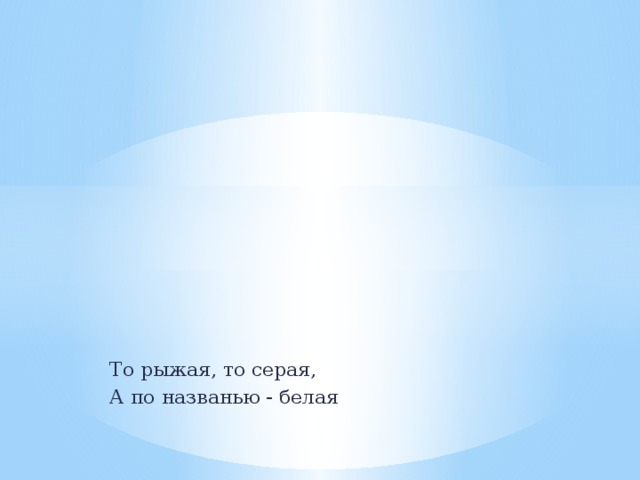 То рыжая, то серая, А по названью - белая 