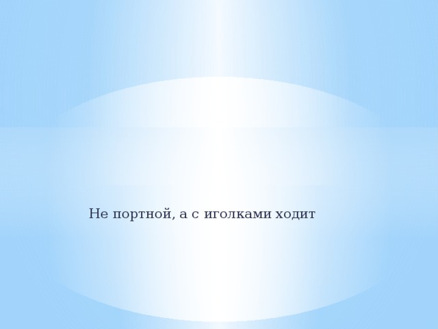Не портной, а с иголками ходит 