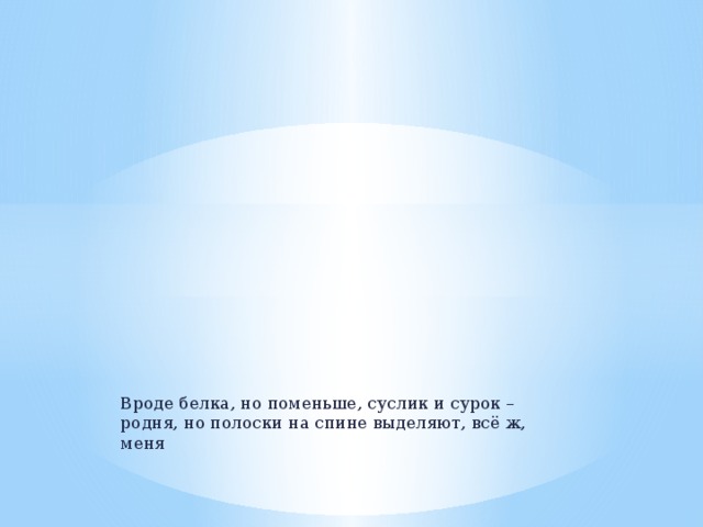 Вроде белка, но поменьше, суслик и сурок – родня, но полоски на спине выделяют, всё ж, меня 