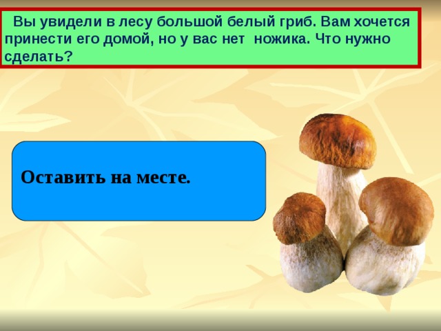  Вы увидели в лесу большой белый гриб. Вам хочется принести его домой, но у вас нет ножика. Что нужно сделать? Оставить на месте. 