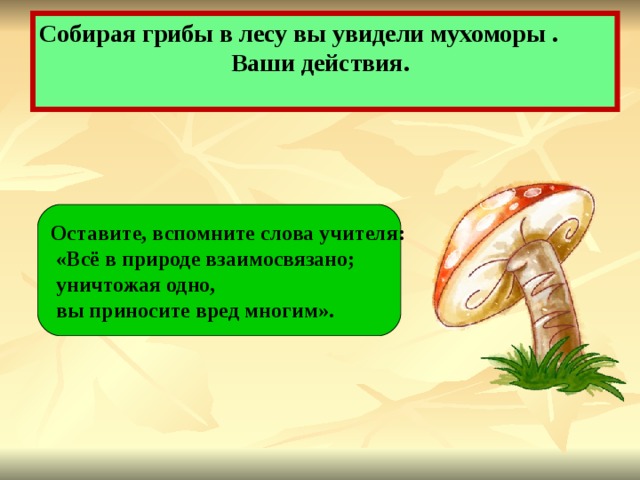 Собирая грибы в лесу вы увидели мухоморы .  Ваши действия. Оставите, вспомните слова учителя:  «Всё в природе взаимосвязано;  уничтожая одно,  вы приносите вред многим». 