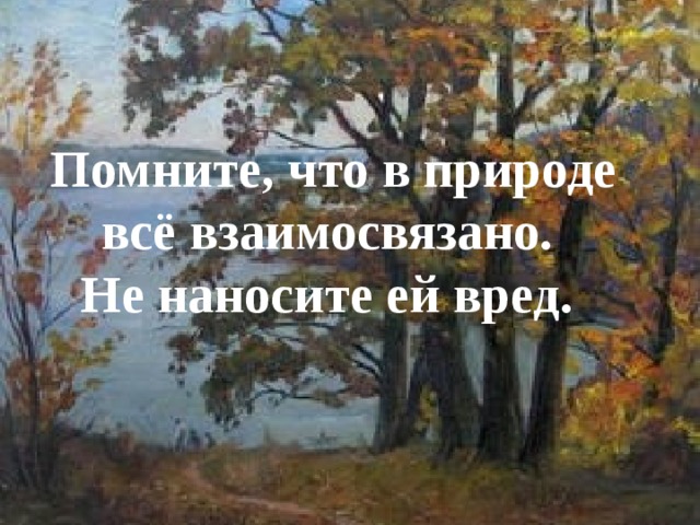 Помните, что в природе всё взаимосвязано. Не наносите ей вред. 