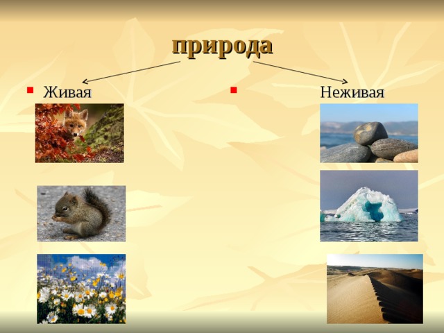 природа Живая   Неживая 