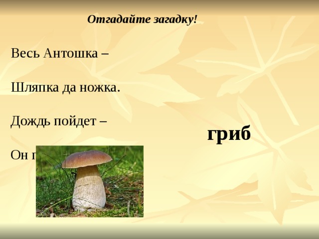 Отгадайте загадку! Весь Антошка – Шляпка да ножка. Дождь пойдет – Он подрастет. гриб 