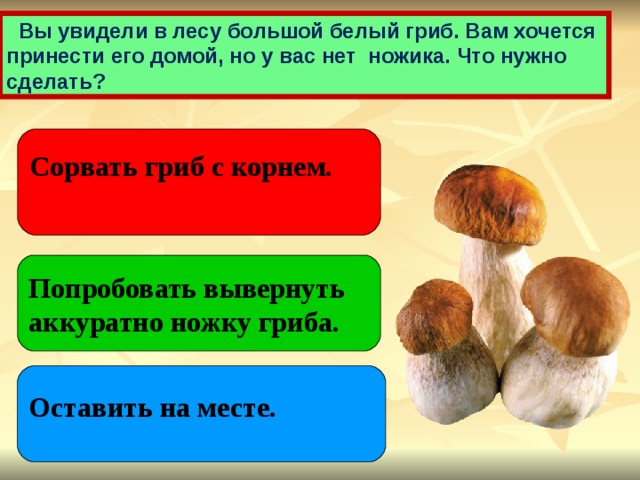  Вы увидели в лесу большой белый гриб. Вам хочется принести его домой, но у вас нет ножика. Что нужно сделать? Сорвать гриб с корнем. Попробовать вывернуть аккуратно ножку гриба. Оставить на месте. 