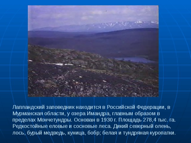 Лапландский заповедник находится в Российской Федерации, в Мурманская области, у озера Имандра, главным образом в пределах Мончетундры. Основан в 1930 г. Площадь 278,4 тыс. га. Редкостойные еловые и сосновые леса. Дикий северный олень, лось, бурый медведь, куница, бобр; белая и тундряная куропатки. 