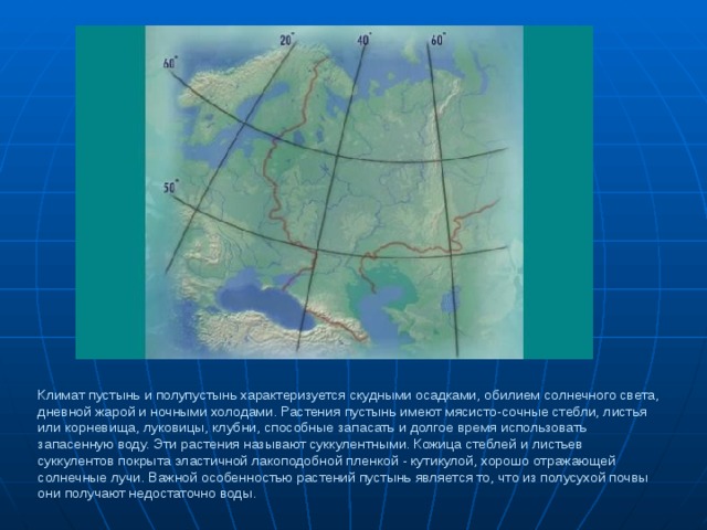 Климат пустынь и полупустынь характеризуется скудными осадками, обилием солнечного света, дневной жарой и ночными холодами. Растения пустынь имеют мясисто-сочные стебли, листья или корневища, луковицы, клубни, способные запасать и долгое время использовать запасенную воду. Эти растения называют суккулентными. Кожица стеблей и листьев суккулентов покрыта эластичной лакоподобной пленкой - кутикулой, хорошо отражающей солнечные лучи. Важной особенностью растений пустынь является то, что из полусухой почвы они получают недостаточно воды. 