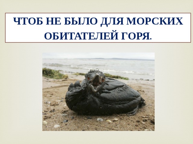 ЧТОБ НЕ БЫЛО ДЛЯ МОРСКИХ ОБИТАТЕЛЕЙ ГОРЯ . 