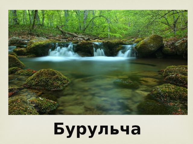 Бурульча 