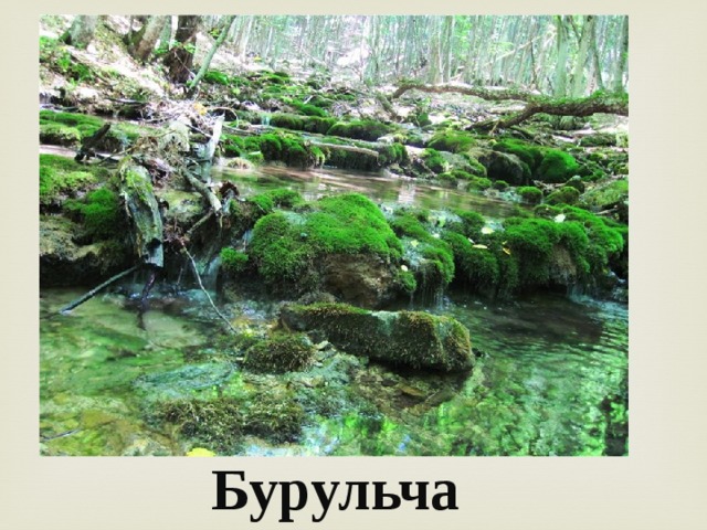 Бурульча 