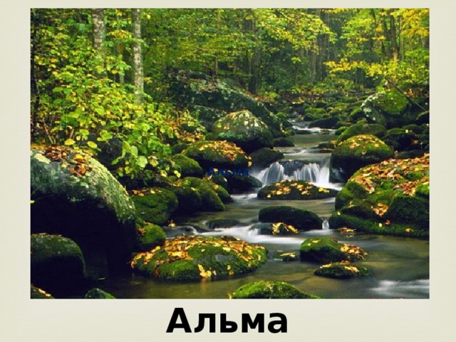 Альма Альма 