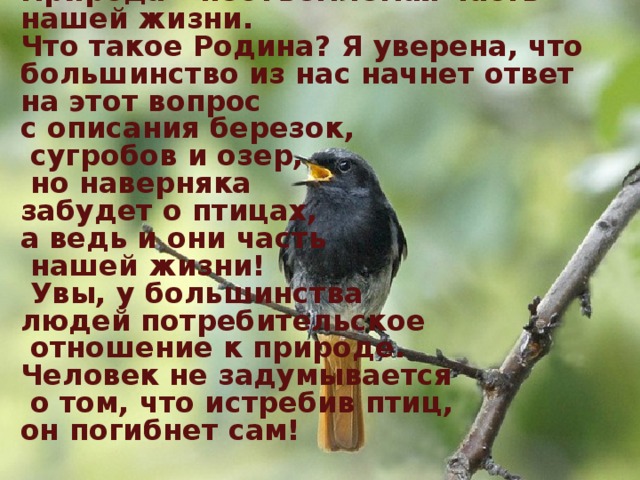Природа – неотъемлемая часть нашей жизни.  Что такое Родина? Я уверена, что большинство из нас начнет ответ  на этот вопрос  с описания березок,  сугробов и озер,  но наверняка  забудет о птицах,  а ведь и они часть  нашей жизни!  Увы, у большинства  людей потребительское  отношение к природе.  Человек не задумывается  о том, что истребив птиц,  он погибнет сам!   