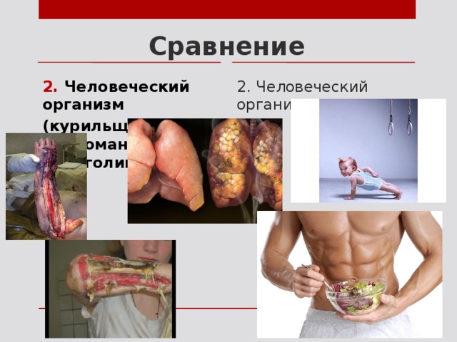 Сравнение 2. Человеческий организм 2. Человеческий организм (курильщика, наркомана, алкоголика) 
