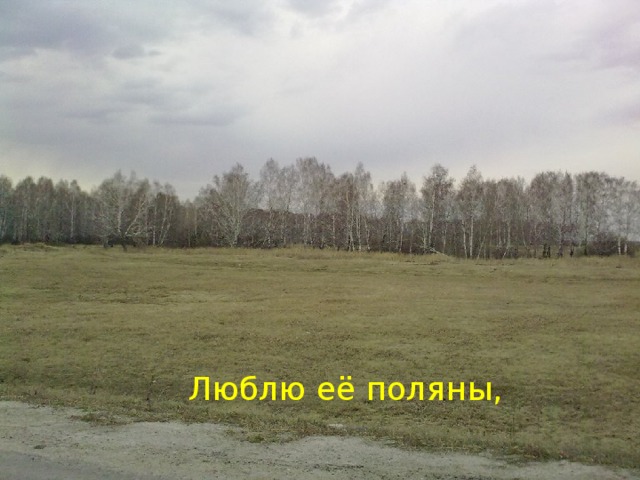 Люблю её поляны,