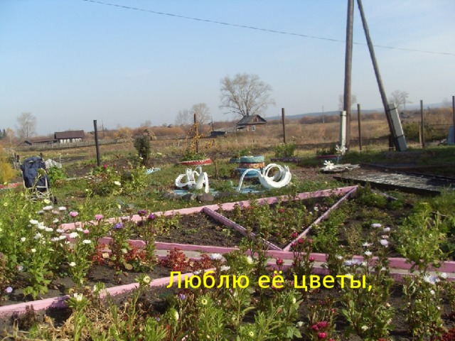 Люблю её цветы,