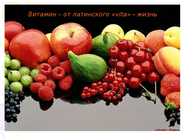 Витамин – от латинского « vita » - жизнь 