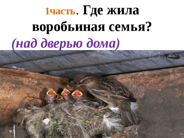 1часть . Где жила воробьиная семья? (над дверью дома) 