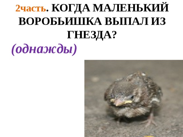 2часть . КОГДА МАЛЕНЬКИЙ ВОРОБЬИШКА ВЫПАЛ ИЗ ГНЕЗДА? (однажды) 