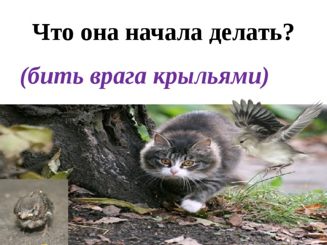 Что она начала делать? (бить врага крыльями) 