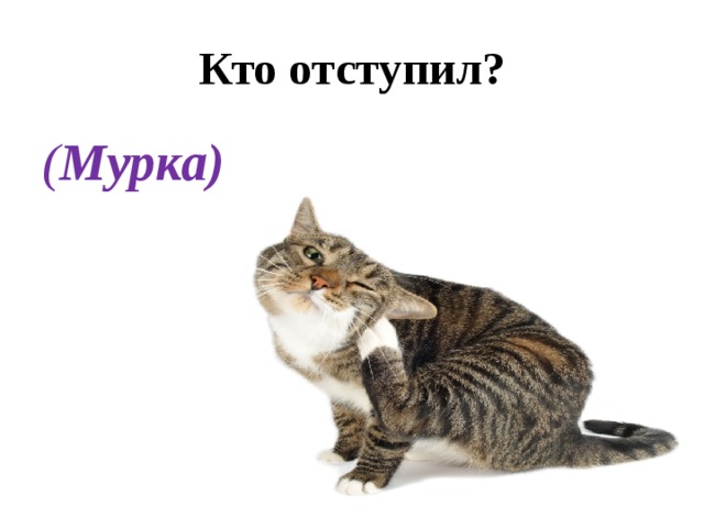 Кто отступил? ( Мурка) 