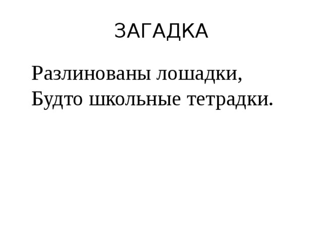ЗАГАДКА  Разлинованы лошадки,  Будто школьные тетрадки. 