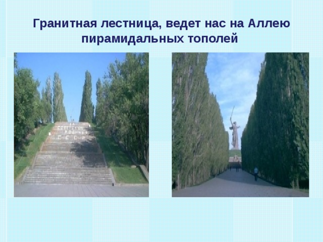Гранитная лестница, ведет нас на Аллею пирамидальных тополей  