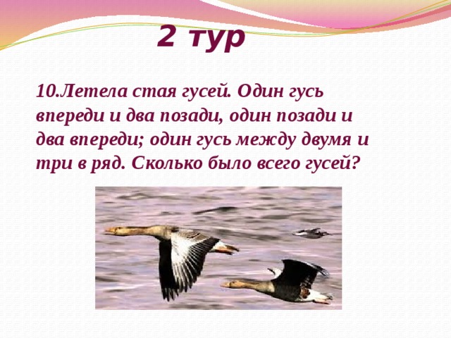2 тур 10.Летела стая гусей. Один гусь впереди и два позади, один позади и два впереди; один гусь между двумя и три в ряд. Сколько было всего гусей? 