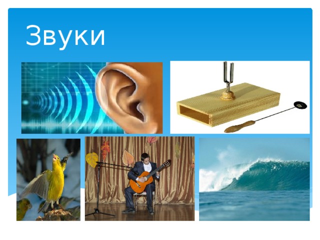 Звуки 