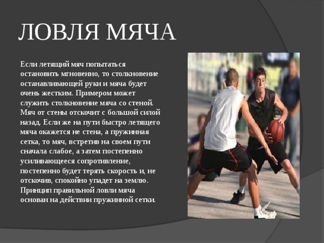 ЛОВЛЯ МЯЧА Если летящий мяч попытаться остановить мгновенно, то столкновение останавливающей руки и мяча будет очень жестким. Примером может служить столкновение мяча со стеной. Мяч от стены отскочит с большой силой назад. Если же на пути быстро летящего мяча окажется не стена, а пружинная сетка, то мяч, встретив на своем пути сначала слабое, а затем постепенно усиливающееся сопротивление, постепенно будет терять скорость и, не отскочив, спокойно упадет на землю. Принцип правильной ловли мяча основан на действии пружинной сетки. 