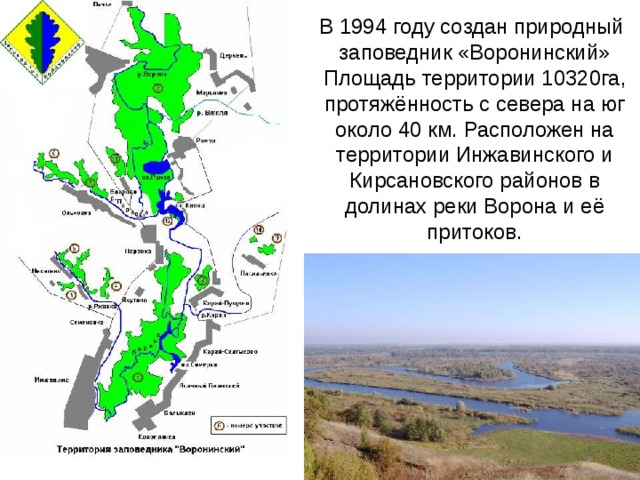 В 1994 году создан природный заповедник «Воронинский»  Площадь территории 10320га, протяжённость с севера на юг около 40 км. Расположен на территории Инжавинского и Кирсановского районов в долинах реки Ворона и её притоков. 