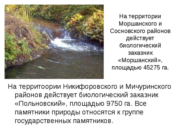 На территории Моршанского и Сосновского районов действует биологический заказник «Моршанский», площадью 45275 га. На территоории Никифоровского и Мичуринского районов действует биологический заказник «Польновский», площадью 9750 га. Все памятники природы относятся к группе государственных памятников. 