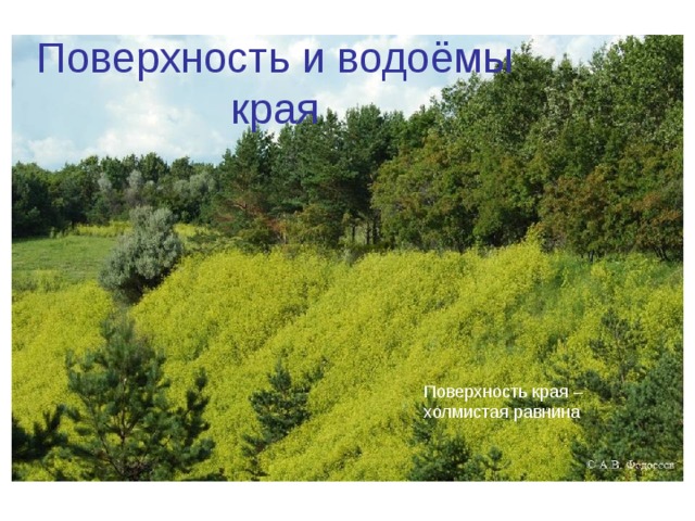 Поверхность и водоёмы края Поверхность края –холмистая равнина 