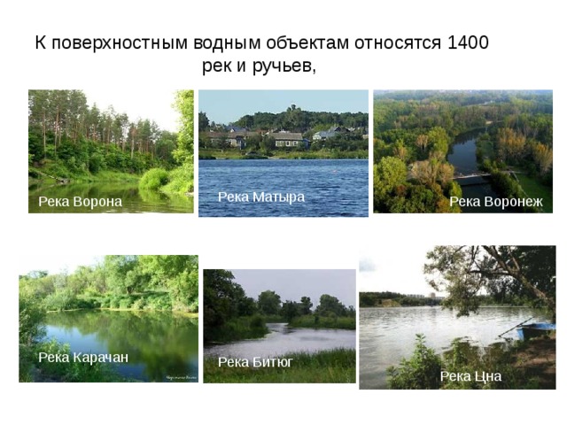 К поверхностным водным объектам относятся 1400 рек и ручьев, Река Матыра Река Ворона Река Воронеж Река Карачан Река Битюг Река Цна 