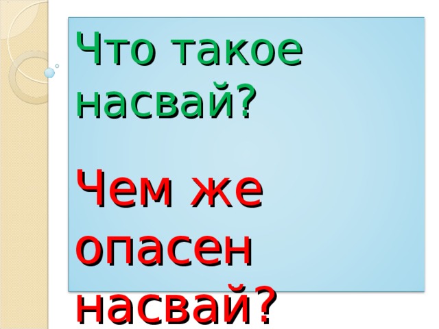 Что такое насвай?   Чем же опасен насвай? 