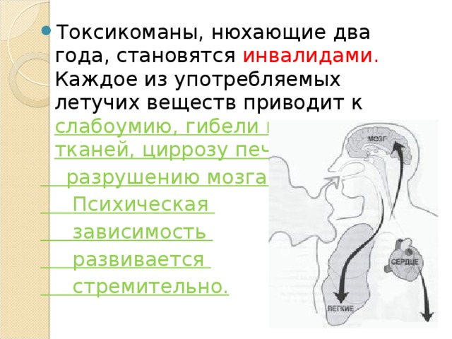 Токсикоманы, нюхающие два года, становятся инвалидами. Каждое из употребляемых летучих веществ приводит к слабоумию, гибели нервных тканей, циррозу печени,  разрушению мозга.  Психическая  зависимость  развивается  стремительно. 