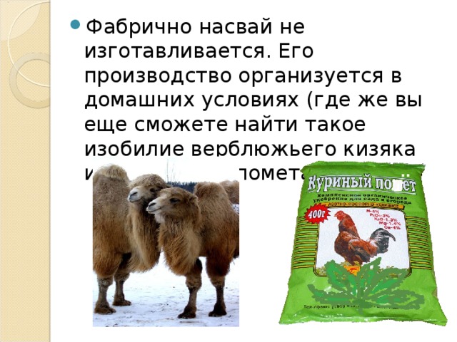 Фабрично насвай не изготавливается. Его производство организуется в домашних условиях (где же вы еще сможете найти такое изобилие верблюжьего кизяка или куриного помета).  