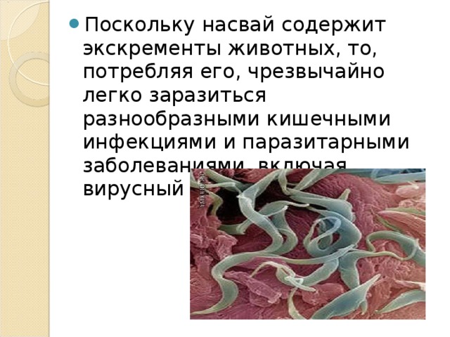 Поскольку насвай содержит экскременты животных, то, потребляя его, чрезвычайно легко заразиться разнообразными кишечными инфекциями и паразитарными заболеваниями, включая вирусный гепатит.  