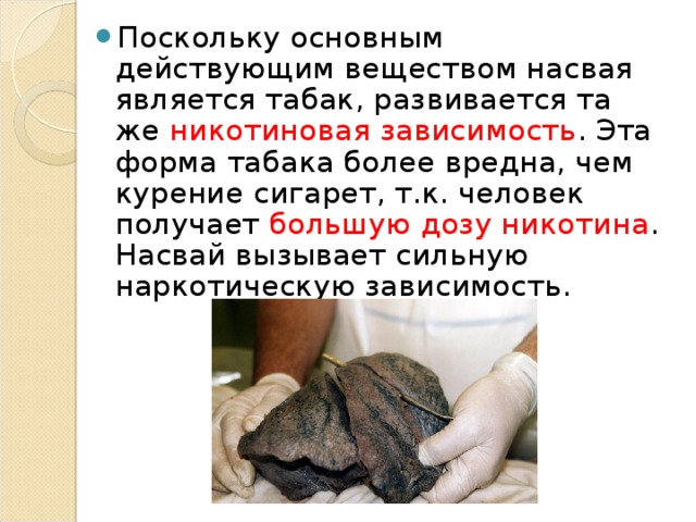 Поскольку основным действующим веществом насвая является табак, развивается та же никотиновая зависимость . Эта форма табака более вредна, чем курение сигарет, т.к. человек получает большую дозу никотина . Насвай вызывает сильную наркотическую зависимость.  
