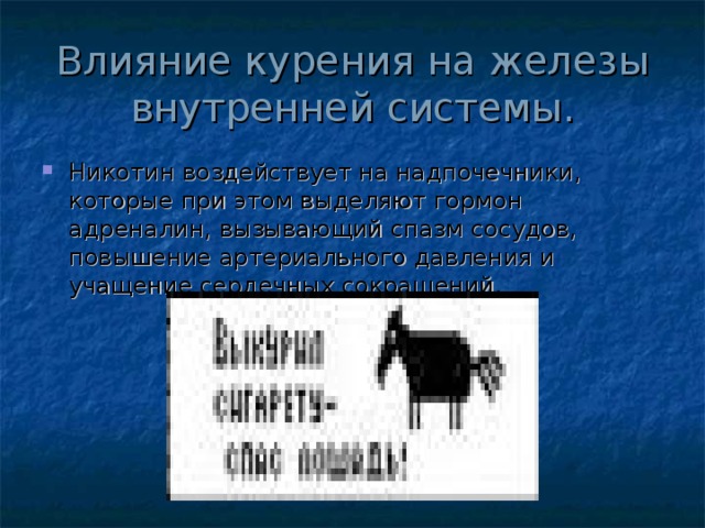 Влияние курения на железы внутренней системы. Никотин воздействует на надпочечники, которые при этом выделяют гормон адреналин, вызывающий спазм сосудов, повышение артериального давления и учащение сердечных сокращений. 