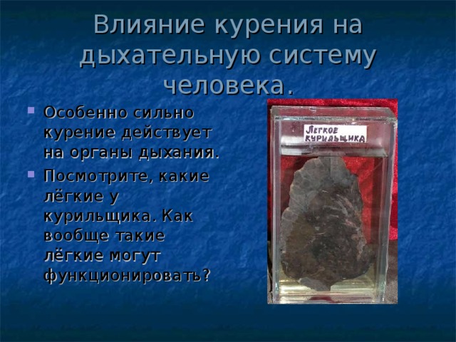 Влияние курения на дыхательную систему человека. Особенно сильно курение действует на органы дыхания. Посмотрите, какие лёгкие у курильщика. Как вообще такие лёгкие могут функционировать? 
