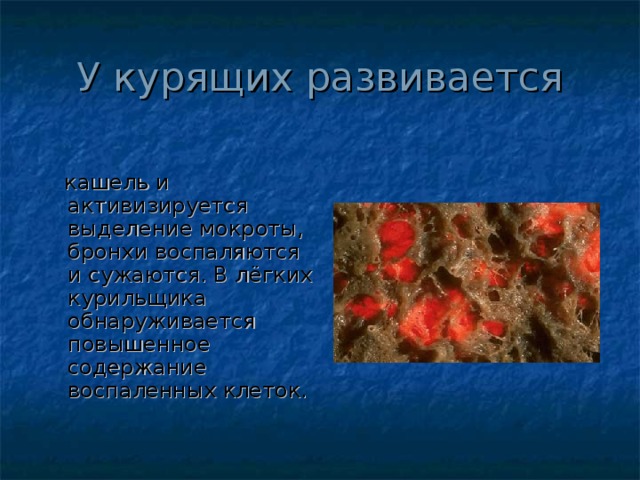 У курящих развивается  кашель и активизируется выделение мокроты, бронхи воспаляются и сужаются. В лёгких курильщика обнаруживается повышенное содержание воспаленных клеток. 