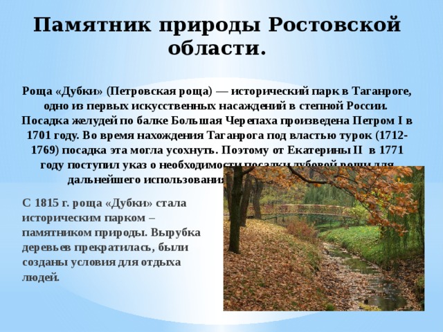 Памятник природы Ростовской области.    Роща «Дубки» (Петровская роща) — исторический парк в Таганроге, одно из первых искусственных насаждений в степной России.  Посадка желудей по балке Большая Черепаха произведена Петром I в 1701 году. Во время нахождения Таганрога под властью турок (1712-1769) посадка эта могла усохнуть. Поэтому от Екатерины II в 1771 году поступил указ о необходимости посадки дубовой рощи для дальнейшего использования леса в кораблестроении. С 1815 г. роща «Дубки» стала историческим парком – памятником природы. Вырубка деревьев прекратилась, были созданы условия для отдыха людей. 