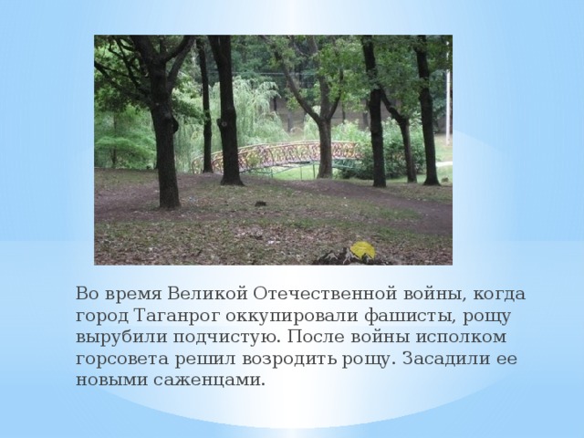 Во время Великой Отечественной войны, когда город Таганрог оккупировали фашисты, рощу вырубили подчистую. После войны исполком горсовета решил возродить рощу. Засадили ее новыми саженцами. 
