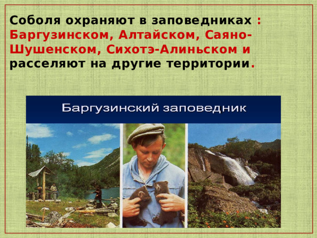 Соболя охраняют в заповедниках : Баргузинском, Алтайском, Саяно-Шушенском, Сихотэ-Алиньском и расселяют на другие территории . 