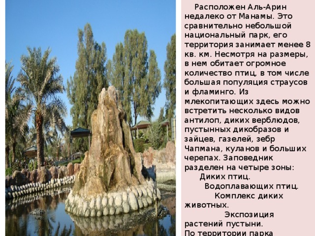  Расположен Аль-Арин недалеко от Манамы. Это сравнительно небольшой национальный парк, его территория занимает менее 8 кв. км. Несмотря на размеры, в нем обитает огромное количество птиц, в том числе большая популяция страусов и фламинго. Из млекопитающих здесь можно встретить несколько видов антилоп, диких верблюдов, пустынных дикобразов и зайцев, газелей, зебр Чапмана, куланов и больших черепах. Заповедник разделен на четыре зоны:  Диких птиц.  Водоплавающих птиц.  Комплекс диких животных.  Экспозиция растений пустыни. По территории парка курсируют специальные автобусы, перевозящие посетителей. На территории парка есть несколько маленьких кафе, удачно вписывающихся ландшафт Аль-А 