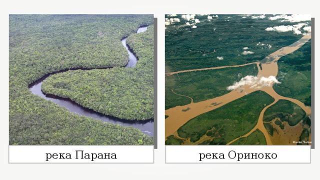 Martin Terber река Парана река Ориноко 